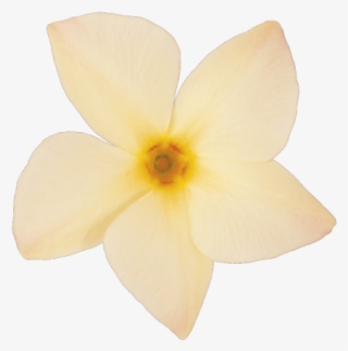 You May Also Like - Color #4812261