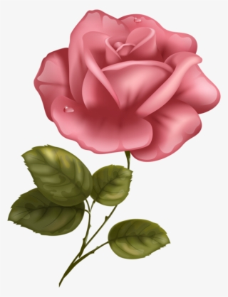 Яндекс - Фотки - Scroll Paper No Background #4812437