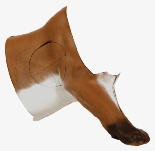 Mountain Lion Mid - Cougar #4812540