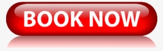 Free Png Book Now Button Png Images Transparent - Book Now Button Png #4813644