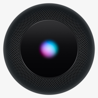 My Team At Apple Is Hiring Please Message Me If Interested - Homepod Top View #4814492