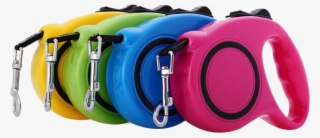 Basic Retractable Dog Leash - Leash #4815105