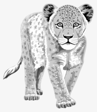 Leopard - Leopard Got His Spots Worksheet #4815163