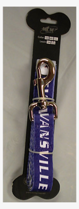 Dog Leash - Ski Binding #4815314