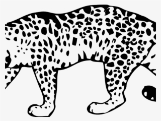Leopard Clipart Animal Print - Leopard Clipart #4815391
