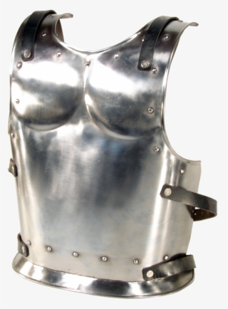 Backplate For Warrior Or Drake-goblinsmith - Backplate For Warrior Or Drake- Size Small #4816507