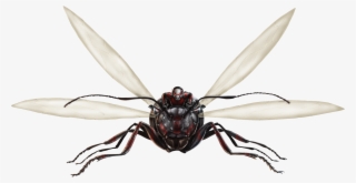 Ant-thony Fh - Ant-man Photo Card #4816808