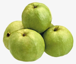 Price - Control Diabetes Home Remedies #4817458