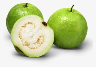 Indian Guava #4817827