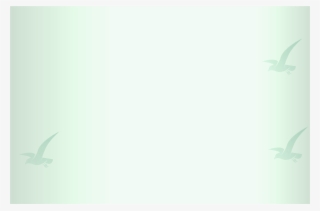 Layer Of Broken Bricks, Ii - Gull #4818214