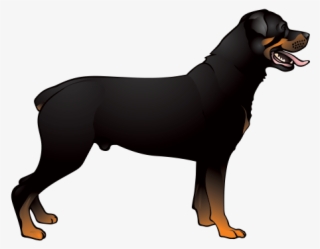 Printed Vinyl Dog Stickers Factory - Decoration Vinyl Sticker Rottweiler Dog Decoration #4818263