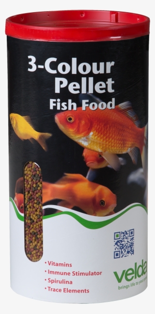Goldfish Png #4819408