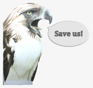 Save Us - Save Golden Eagle Slogan #4819909