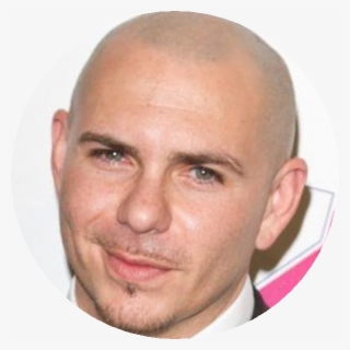 Pitbull - Murder #4821563 Pitbull - Murder #4821563