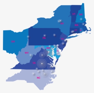 What Vet Care Do We Offer - Ohio Outline #4822000