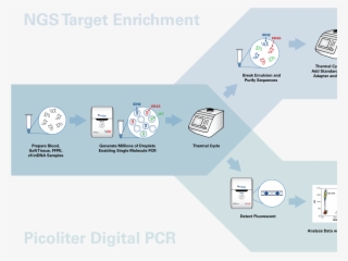 Raindrop System Infographic - Graphic Design #4823282