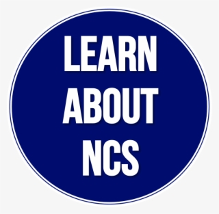 We Invite You To Explore Our Website To Learn More - Rabbit Banshee #4824766