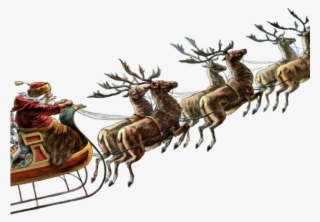 Reindeer Png Transparent Images - Santa Claus Sled Png #4825718