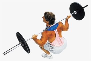 Mr136 Exer Squat V=1366057909 - Body Solid Manta Ray Squat Attachment #4826002