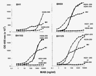 Titration Of Affinity Purified Mabs Bh1, Bh59, Bh103 - Diagram #4826983