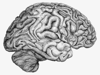 Info, - Illustration #4826984