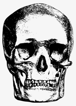 Skull Drawing Images 5, Buy Clip Art - Skull Twenty One Pilots Art #4828259 Skull Drawing Images 5, Buy Clip Art - Skull Twenty One Pilots Art #4828259