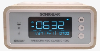 Pandora Neo Classic 1000 User Manual - Loudspeaker #4828425