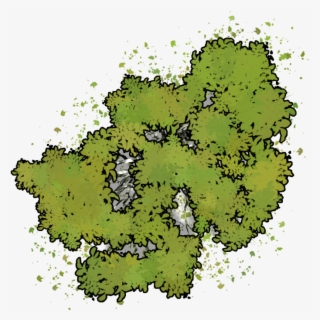 Png - Dungeons And Dragons Tree #4831111