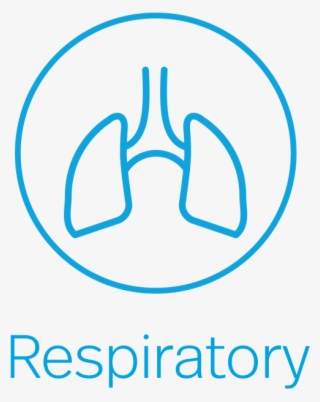 01 Asthma Text 02 Allergy Text 03 Copd 04 Respiratory - Lung #4831184 01 Asthma Text 02 Allergy Text 03 Copd 04 Respiratory - Lung #4831184