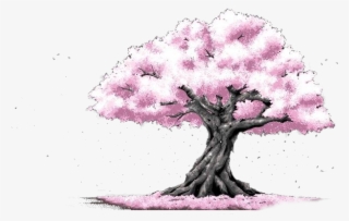 Cherry Blossom Cerasus Pink - 背景 素材 #4831252