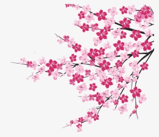 64 Cherry Blossom Tree Branch Cliparts For Your Inspiration - Cherry Blossom Pink Png #4831418