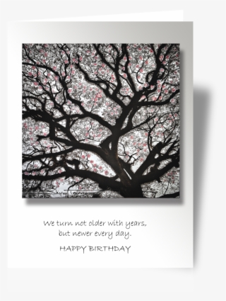 Cp058 Cherry Blossom Tree - Cherry Blossom #4831482