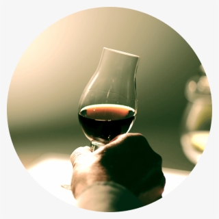 Jägermeister #4832701