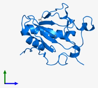 <div Class='caption-body'>pdb Entry 1vhh Contains 1 - Indian Hedgehog #4833833