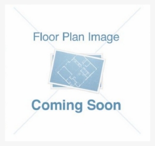 Almond Tree - North Carolina #4835119