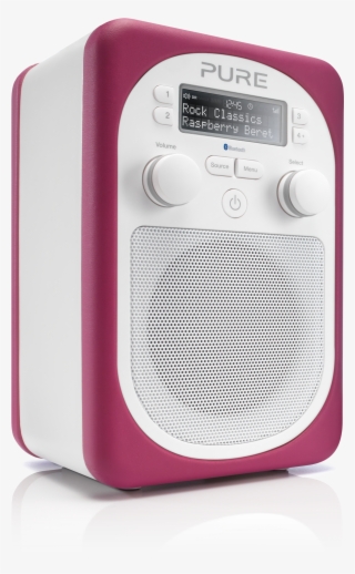 Evoke D2 Mio With Bluetooth Raspberry Dynamic - Pure Dab Radio Evoke D2 Mio Bluetooth - Aloe #4835263
