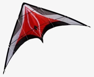 Fire Fly - Sport Kite #4835389