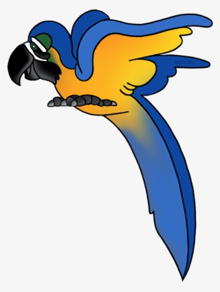 Macaw Clipart Phillip Martin - Clipart Animals Rainforest #4836319