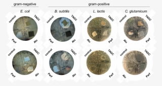 From Left To Right - Quarter #4837406