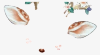 Snapchat Filters Png Transparent Images - Snapchat Filter Transparent Deer #4837739