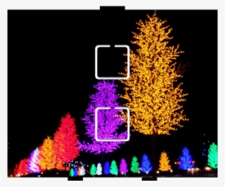 Light Trees - 2 On/off - Christmas Lights #4838113