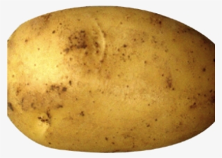 Potato Png Transparent Images #4838906