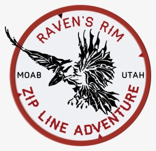 Steak And Shake #4840487