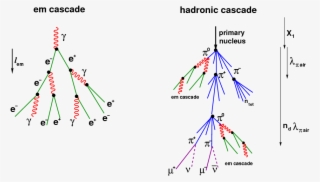 Show More Plots - Electromagnetic Cascade Neutron #4840947