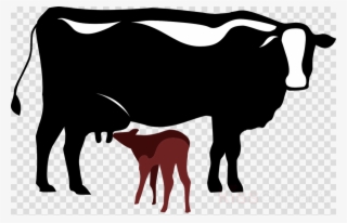 Cattle Clipart Dairy Cattle Calf Baka - Cow Is Under The Tree Clip Art #4842662