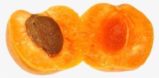 Free Png Apricot Png Images Transparent - Apricot Slice Png #4843174