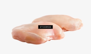 Chicken Meat - Chicken Breast #4844831