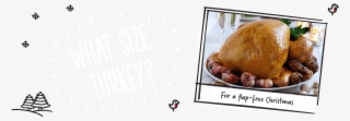 What Size Turkey To Buy #4845775