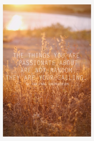 Inspirational Quote - Things You Are Passionate About Are Not Random Meaning #4846573