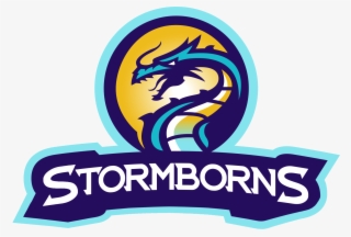 Stormborns Cs Go #4848660